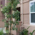 A thin brick install involves preparing a compatible substrate, selecting an approved bonding system, laying brick in a planned pattern, maintaining consistent mortar joints, and finishing the joints after the brick is secure.