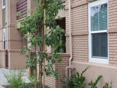 A thin brick install involves preparing a compatible substrate, selecting an approved bonding system, laying brick in a planned pattern, maintaining consistent mortar joints, and finishing the joints after the brick is secure.