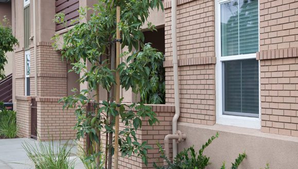 A thin brick install involves preparing a compatible substrate, selecting an approved bonding system, laying brick in a planned pattern, maintaining consistent mortar joints, and finishing the joints after the brick is secure.